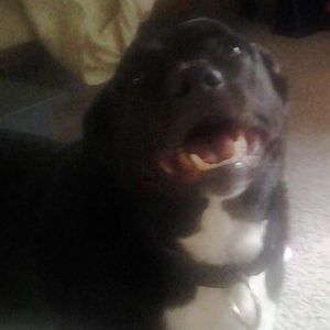 Meet your Posher, Gabe